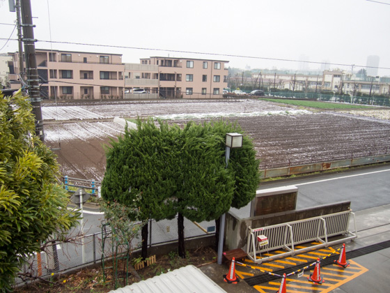 ダイコンこども食堂