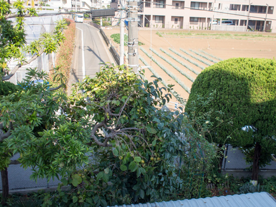 春日町南地区区民館